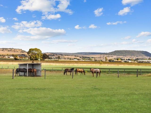 Equestrian Lifestyle on the Darling Downs
