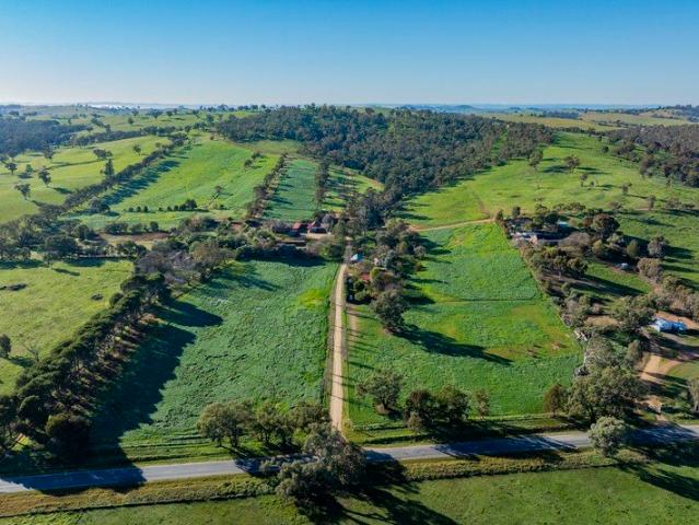 Equine Excellence Prime Location Livestock Versatility