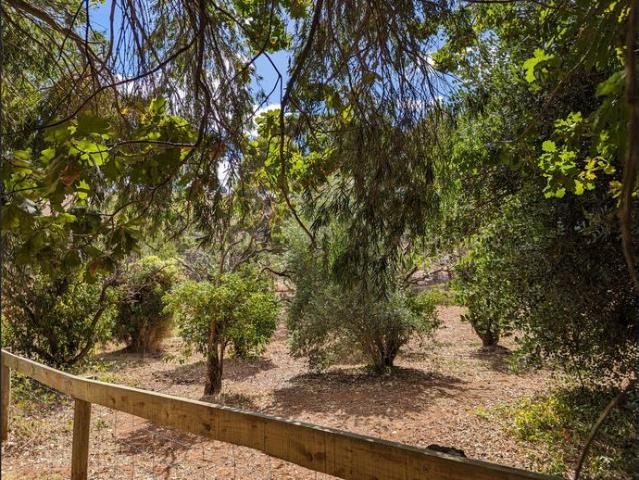 Rural Estate with Breathtaking Views, Equine Facilities and Furnished | 3 Month Lease Available Now
