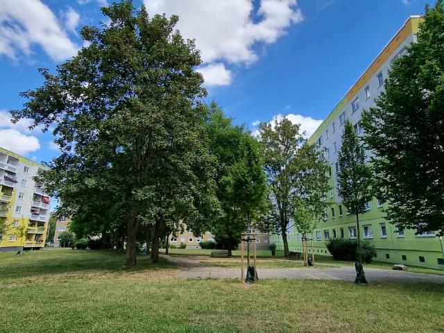 Ernst Hermann Meyer Straße 7