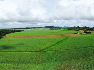 Erakala 38.5acres