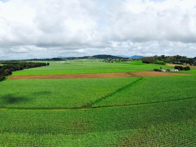 Erakala 38.5acres