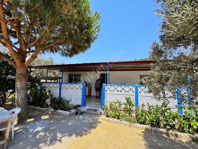 Erdek Ocaklar Da Zeytinlik İçin De Satılık Müstakil Ev