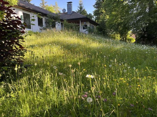Erdgeschoss Bungalow in Icking, grosser Garten & ruhig