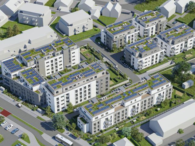 Erdgeschosswohnung: 3 Zimmer Majolikaweg4 in Rheinbach Vivawest GmbH