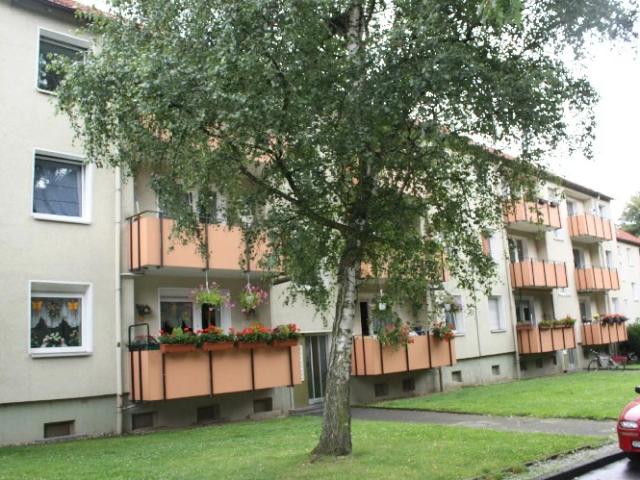 Erdgeschosswohnung: 3 Zimmer Marmelshagen6 in Bochum Vivawest GmbH