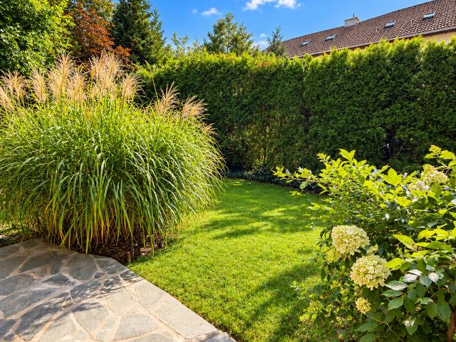 Erdgeschosswohnung mit Terrasse u. eigenen Gartenteil zu vermieten