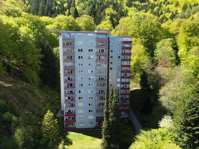 Erholsame Drei Zimmer Wohnung im Kurort Bad Herrenalb mit herrlichem Panoramablick