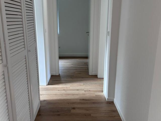 Erlenweg 38