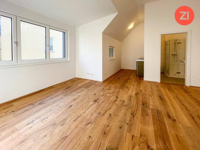 1 Zimmer Wohnungen mit hochwertiger Ausstattung und Küche