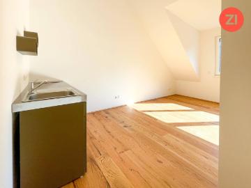 1 Zimmer Wohnungen mit hochwertiger Ausstattung und Küche