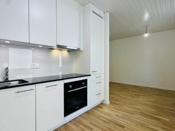 Erstbezug 2.5 Zimmer mit eigener WM/TU, grossem Balkon und Kellerabteil