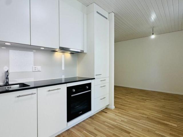 Erstbezug 2.5 Zimmer mit eigener WM/TU, grossem Balkon und Kellerabteil