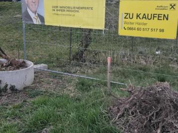 Donnerskirchen, Gemeinde Donnerskirchen, Bezirk Eisenstadt-Umgebung, Burgenland
