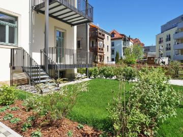 Wohnung zur Miete in Striesen-Ost - Keller