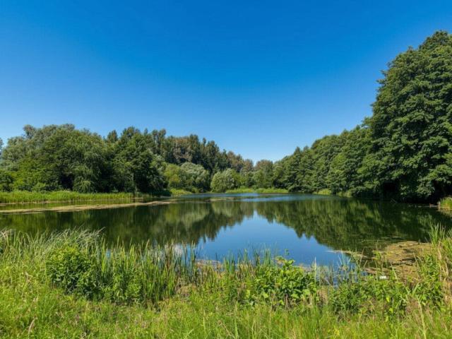 Erstbezug am Mühlwasser – 2 Zimmer Dachgeschosswohnung mit Terrasse