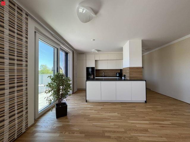 Erstbezug! Grosszügige Dachterrassenwohnung mit moderner Küche und Bad