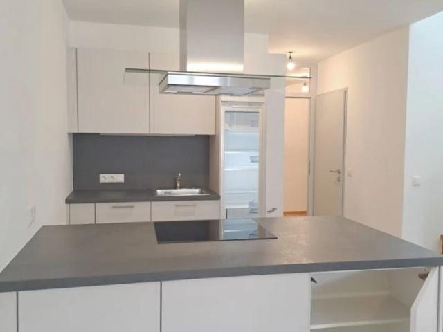 Wohnung + Dachterrasse mit Stadtturm & Weitblick Enns