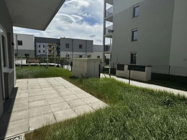 ERSTBEZUG „ein viertel grün“ in Wiener Neustadt 3
