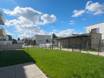 ERSTBEZUG „ein viertel grün“ in Wiener Neustadt 3