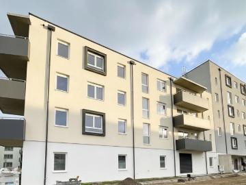 ERSTBEZUG „ein viertel grün“ in Wiener Neustadt