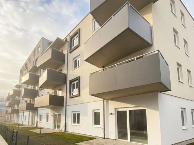 ERSTBEZUG „ein viertel grün“ in Wiener Neustadt