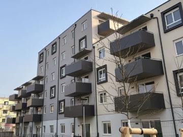 ERSTBEZUG „ein viertel grün“ in Wiener Neustadt