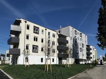 ERSTBEZUG „ein viertel grün“ in Wiener Neustadt herrliche