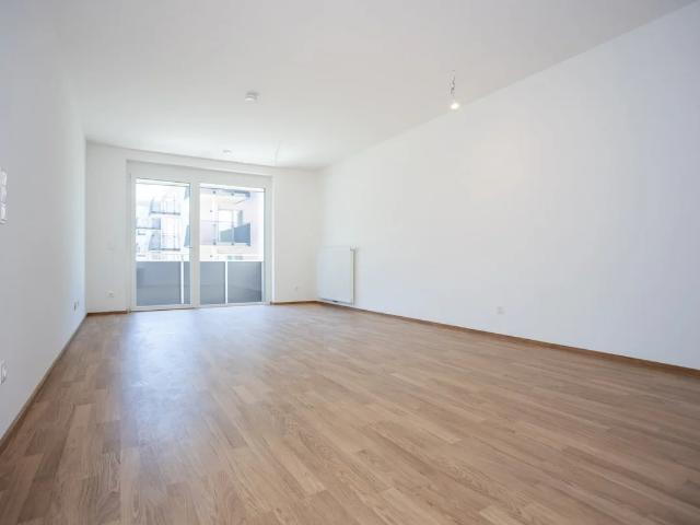 ERSTBEZUG „ein viertel grün“ in Wiener Neustadt herrliche