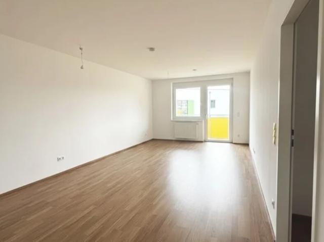 ERSTBEZUG „ein viertel grün“ in Wiener Neustadt herrliche