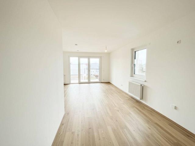 ERSTBEZUG ein viertel grün in Wr. Neustadt 4 Zimmer Familientraum mit Balkon