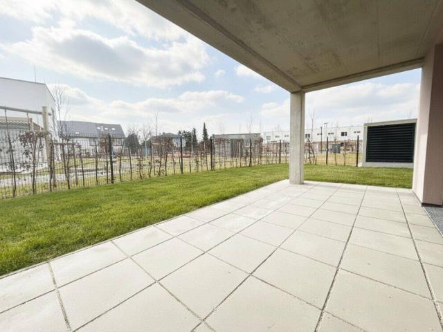 ERSTBEZUG ein viertel grün in Wr. Neustadt 2 Zimmerwohnung mit großem Garten