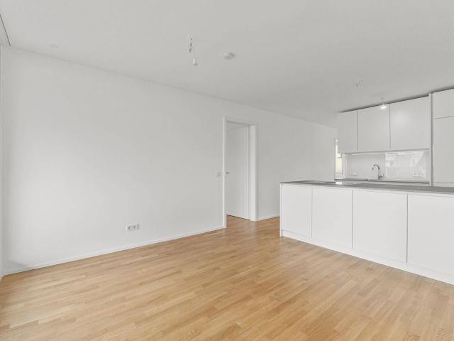 ERSTBEZUG+ Exklusive 3 Zimmer Wohnung mit Terrasse Mollardgasse 50