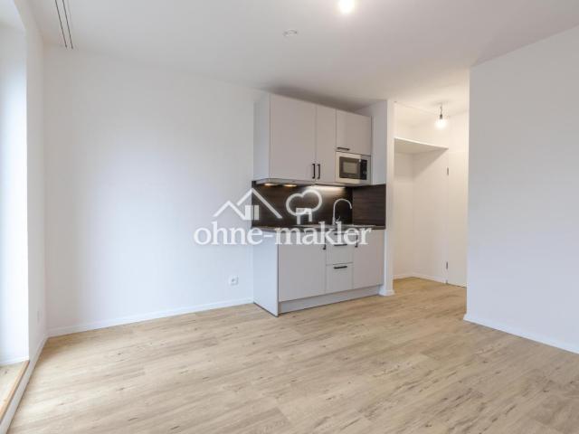 Erstbezug Kernsaniert | Helle 1 Zimmer Wohnung mit Balkon in München Giesing