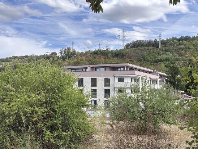Erstbezug: Klimafreundlicher 4 Zimmer Neubau in Lörrach Brombach mit EBK & Terrasse