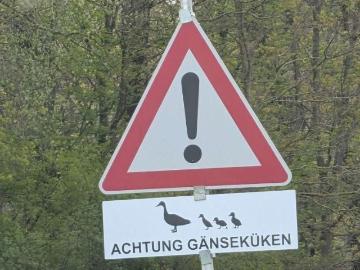 Wohnung zur Miete in Vögelsen - Heizung