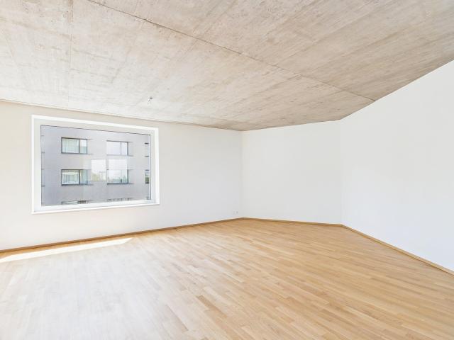 Erstbezug im modernen Neubau hochwertiges Wohnen mitten in Basel