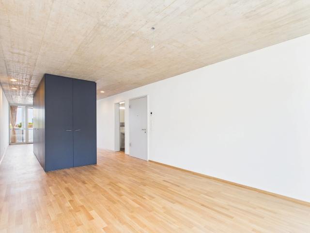 Erstbezug im modernen Neubau hochwertiges Wohnen mitten in Basel