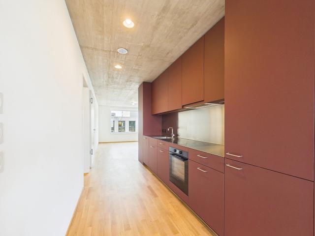 Erstbezug im modernen Neubau hochwertiges Wohnen mitten in Basel