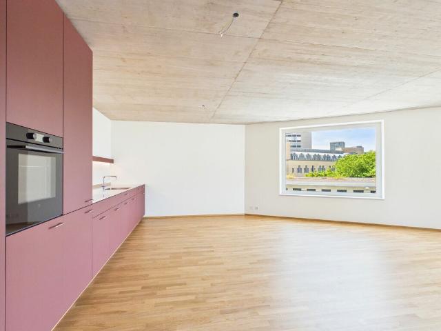 Erstbezug im modernen Neubau hochwertiges Wohnen mitten in Basel