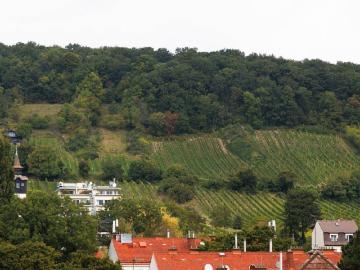 ERSTBEZUG! LUXUS VILLA 1190 MIT DEM WEITBLICK AUF DIE DÖBLINGER WEINBERGE!