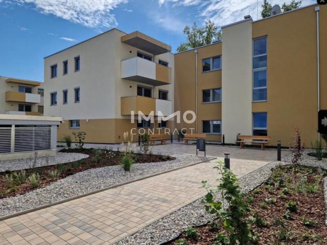 Erstbezug Moderne 2 Zimmer Wohnung mit Lichtdurchfluteten Räumen