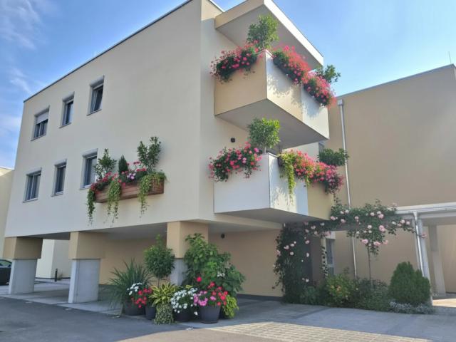Erstbezug – Moderne 2 Zimmer Wohnung mit lichtdurchfluteten Räumen