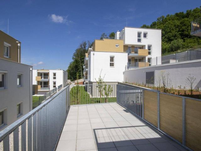 ERSTBEZUG: moderne Wohnung mit großer Terrasse
