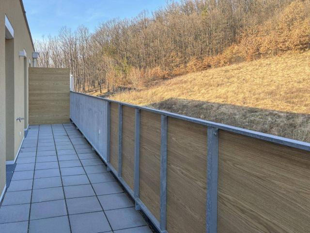 ERSTBEZUG: moderne Dachterrassenwohnung
