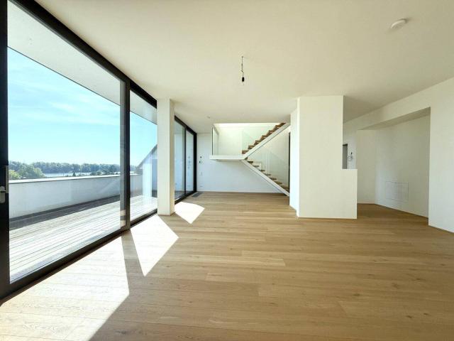 ERSTBEZUG MIT BADESTEG AM WASSER: Ruhelage mit Fernblick über die Donau I großzügige Terrassen I ca. 100 m² Wohnküche I 2 Garagenplätze & 2 Kellerabteile