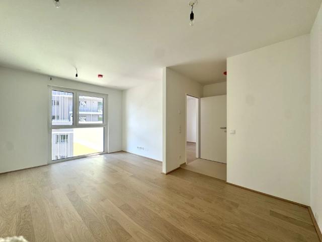 Erstbezug mit traumhafter Terrasse zu Fuß zur Alten Donau und dem Donauzentrum