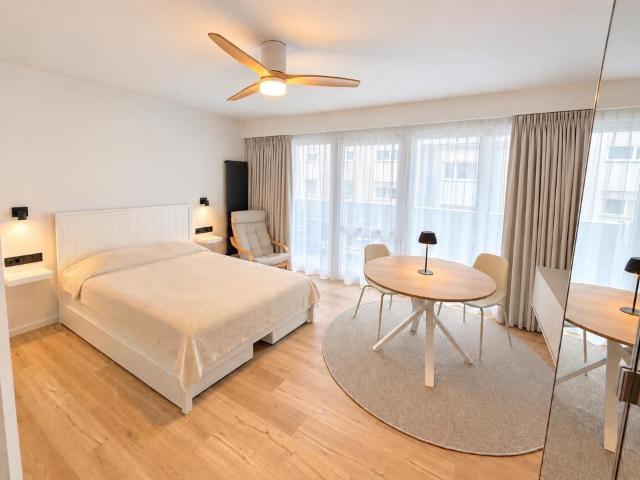 Erstbezug n. Sanierung möbliertes 1 Zimmer Apartment mit Balkon