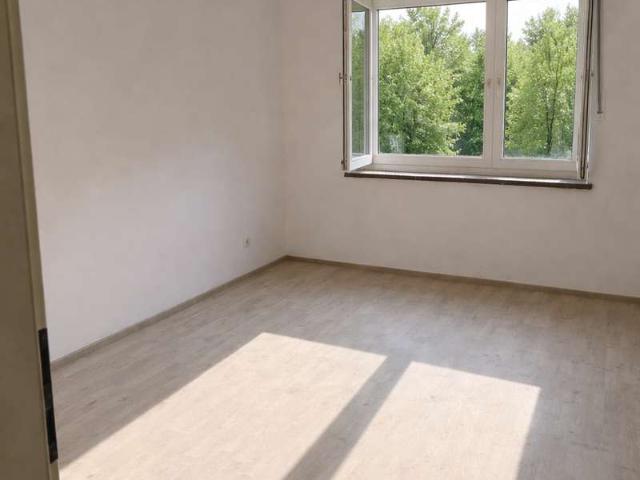 !Erstbezug nach umfassender Sanierung! Lichtdurchflutete 3 Zimmer Wohnung in Frankenthal