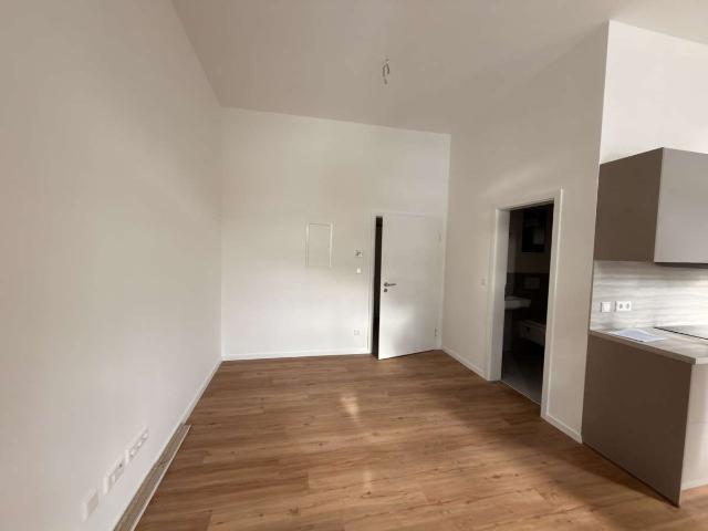 Erstbezug nach Komplettsanierung | Modernes 1 Zimmer Apartment